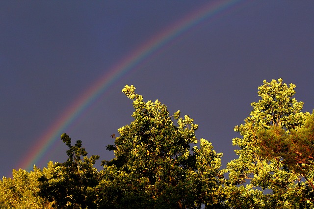 https://pixabay.com/en/rainbow-sky-mood-nature-color-1728089/